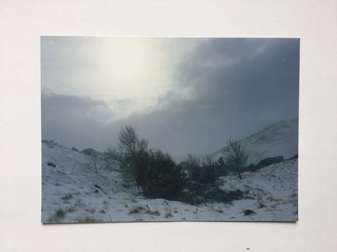 895AD1FA-95E4-4F81-94C3-22B76A47FA1C