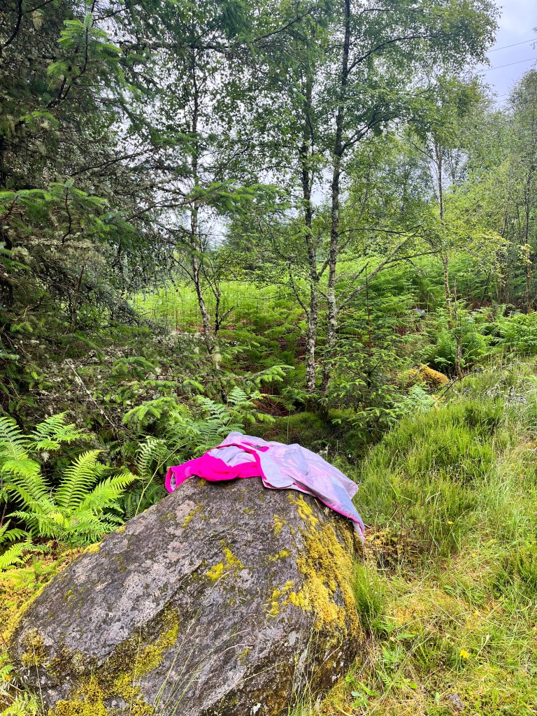 Rock I sit on by the stream on East Highland Way