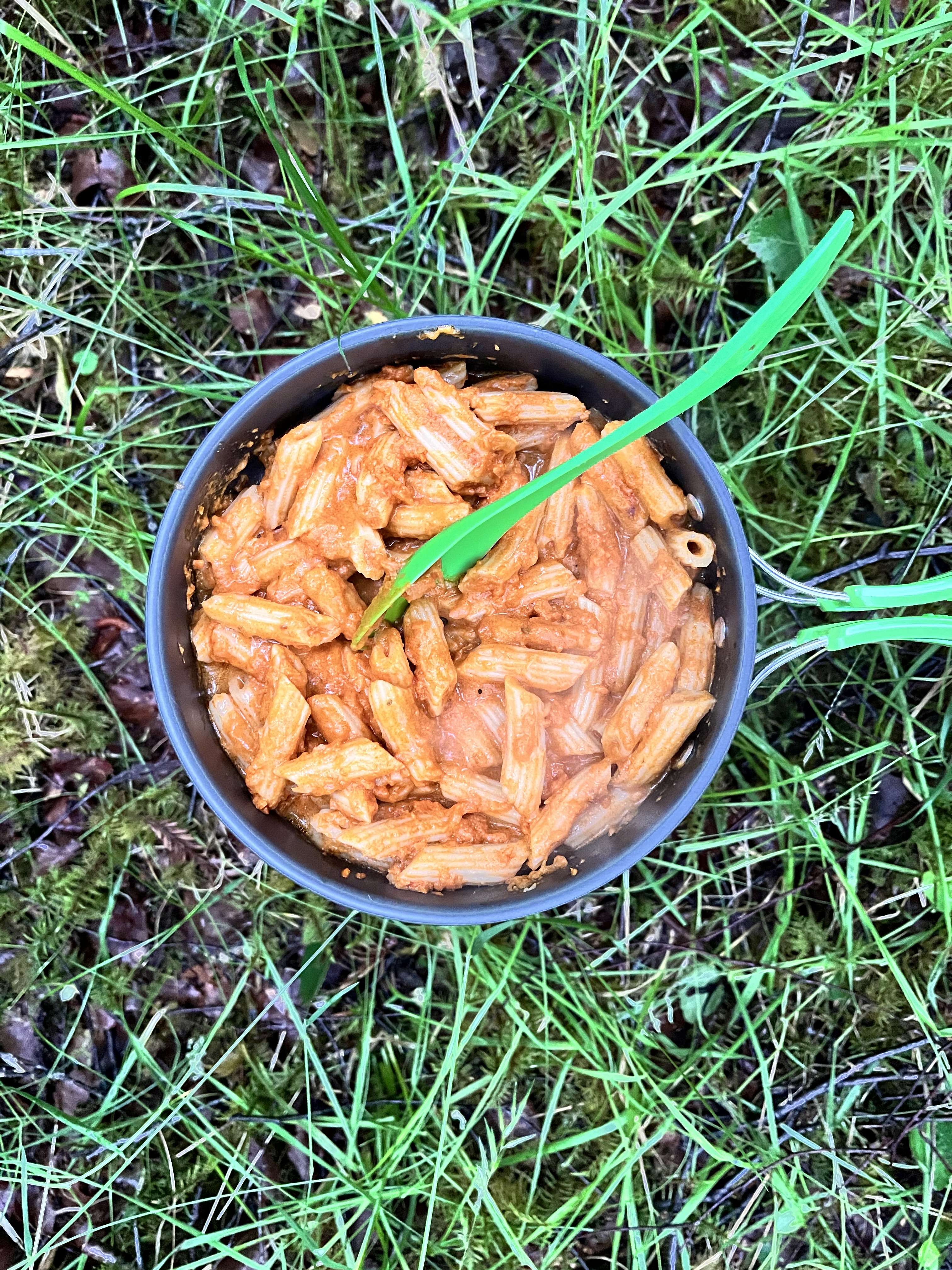 Dinner cooked on the first night on East Highland way
