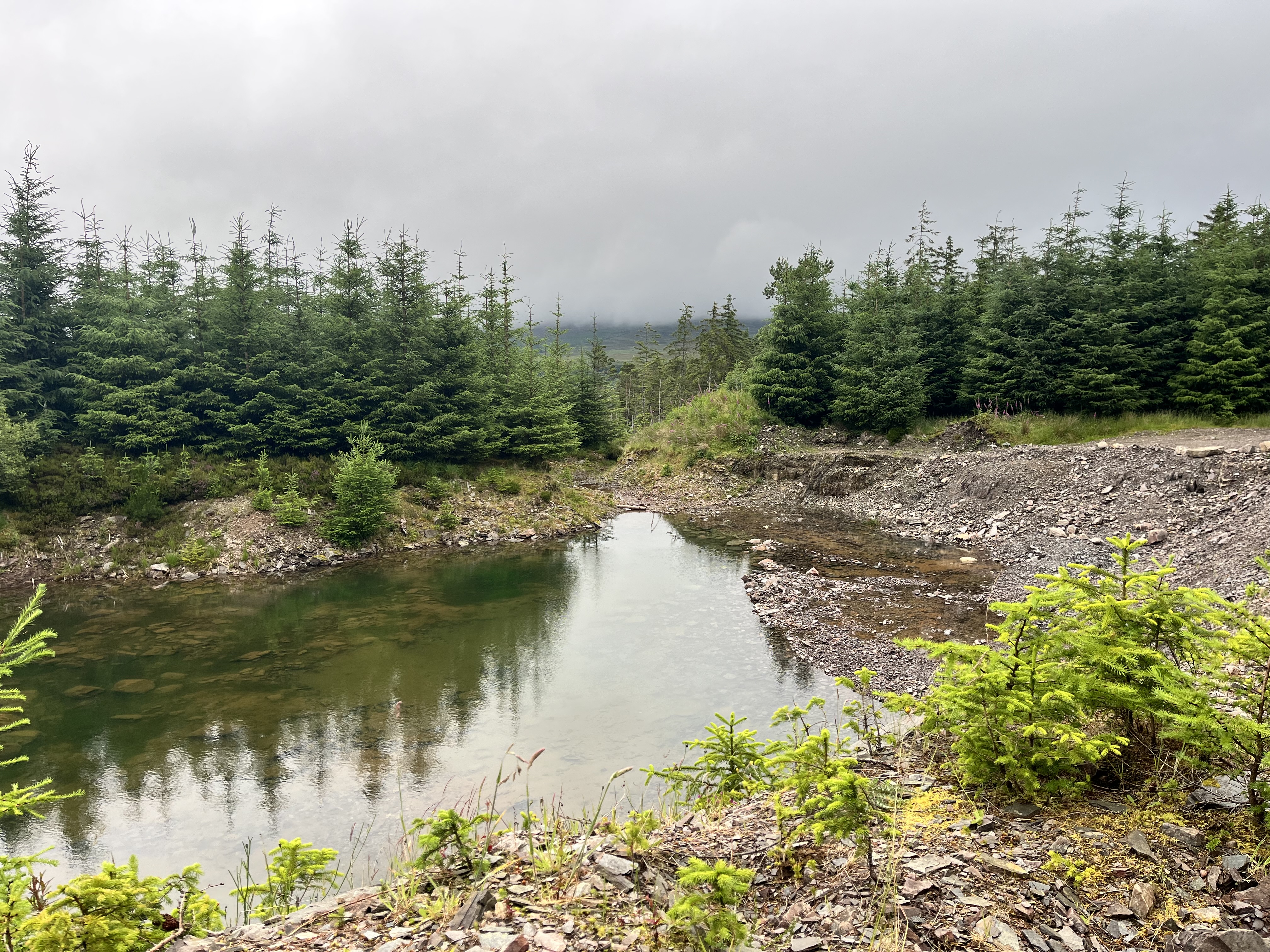 Query in the middle of the forest on the East Highland Way