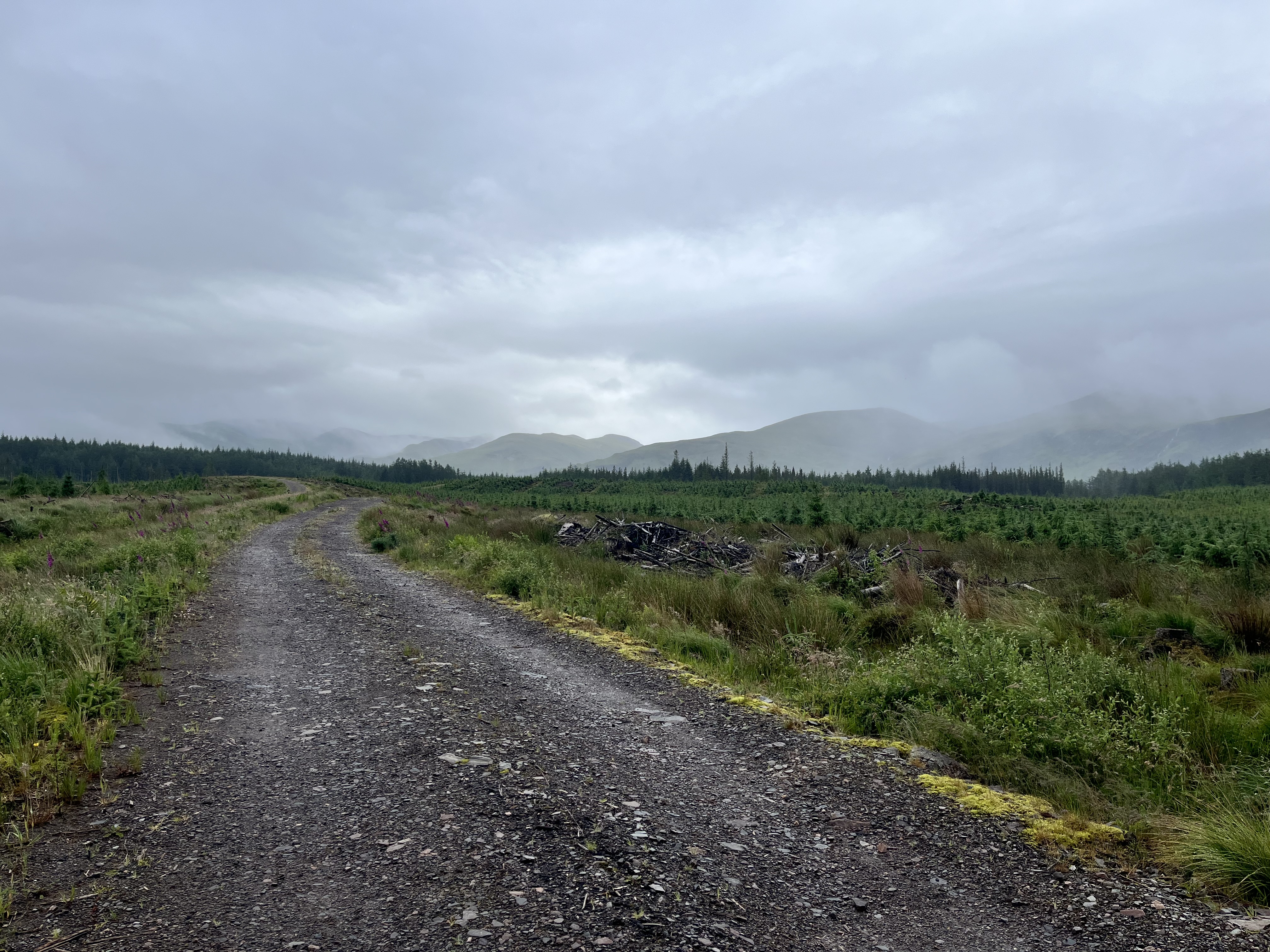 View across the Scottish Highlands from the East Highland Way.